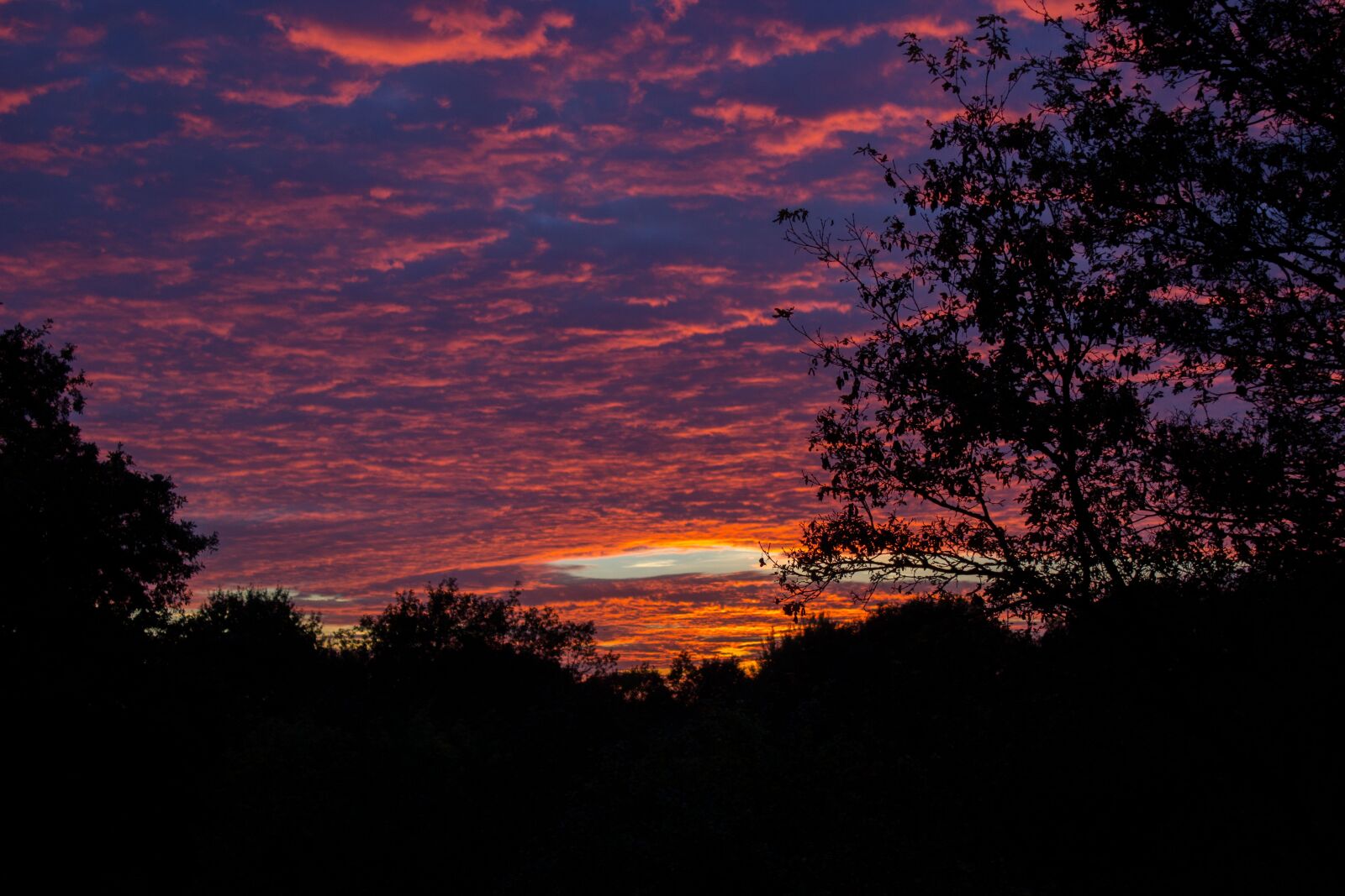 Canon EOS 600D (Rebel EOS T3i / EOS Kiss X5) sample photo. Sunset, dramatic, h photography