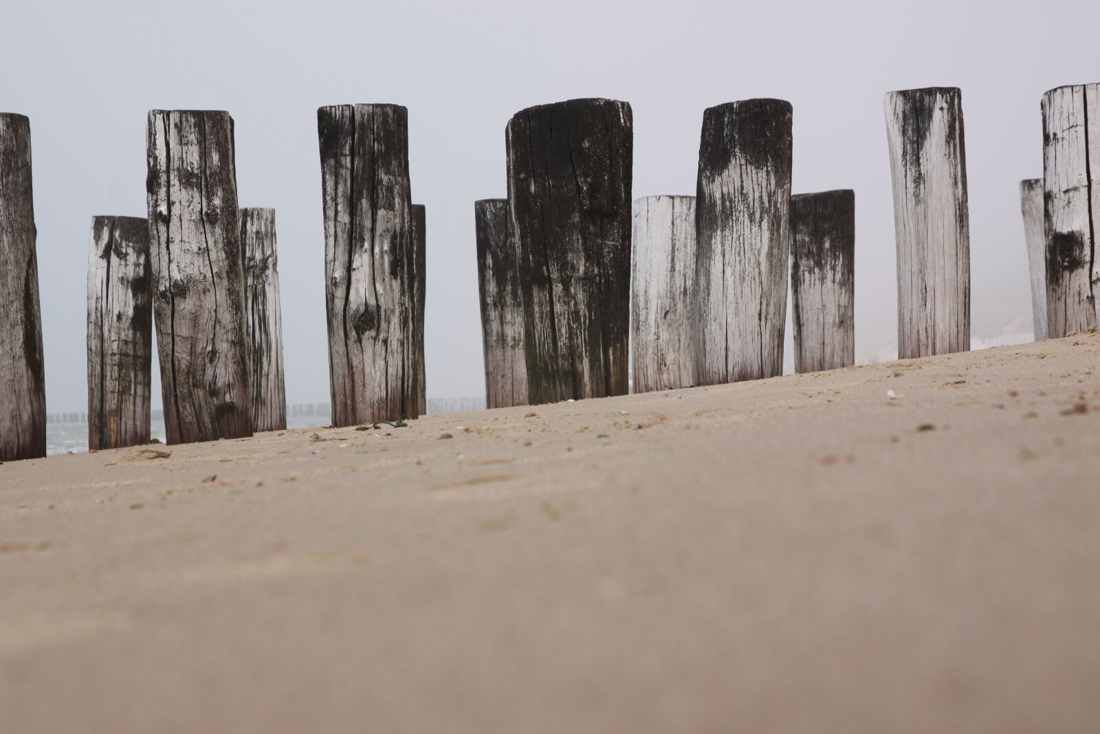 Canon EOS 500D (EOS Rebel T1i / EOS Kiss X3) sample photo. Sand, beach, coast photography