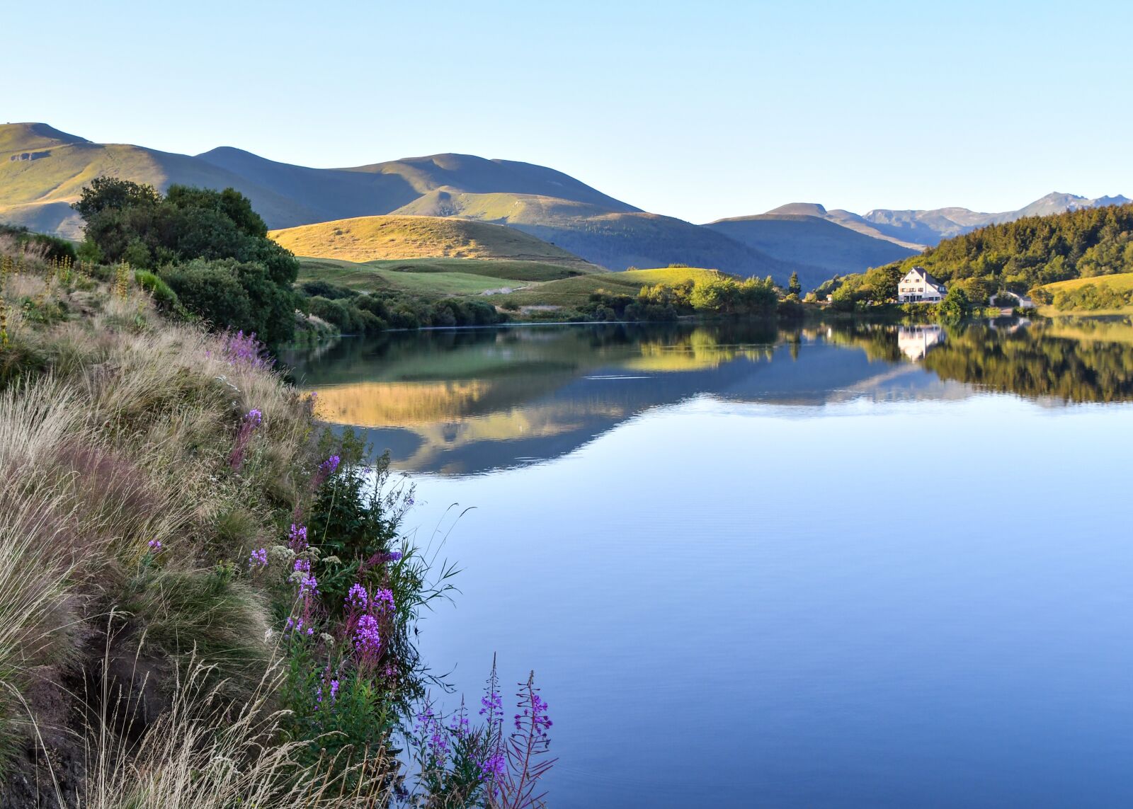 Nikon D500 sample photo. Lake, nature, countryside photography