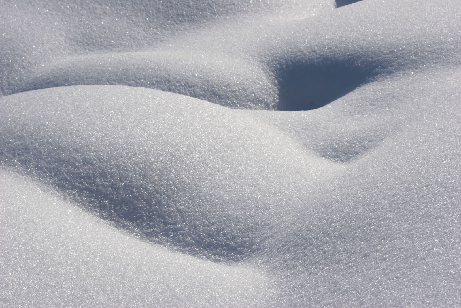 Canon EOS 20D sample photo. Winter, snow, cold photography