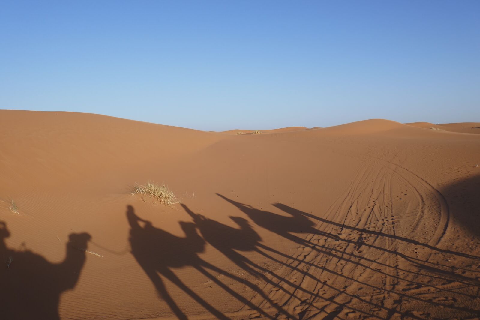 Panasonic DMC-TZ101 sample photo. Desert, shadow, sand photography