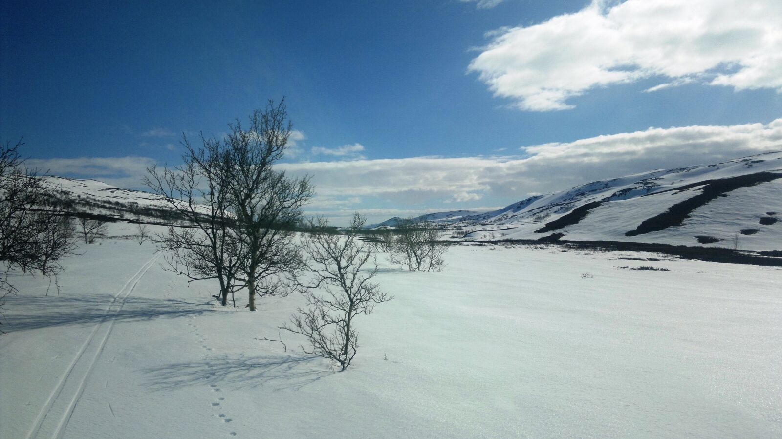 Nokia N8-00 sample photo. Porsanger, lakselv, snow photography