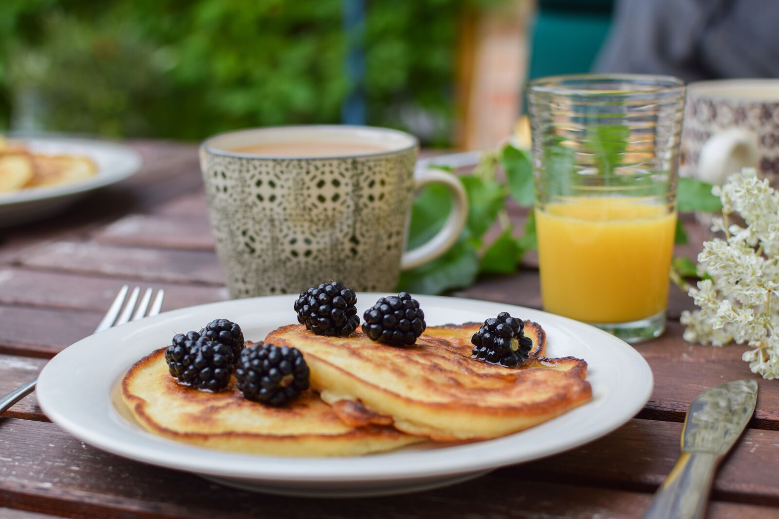 Nikon D3300 sample photo. Blackberry, pancakes, brunch photography