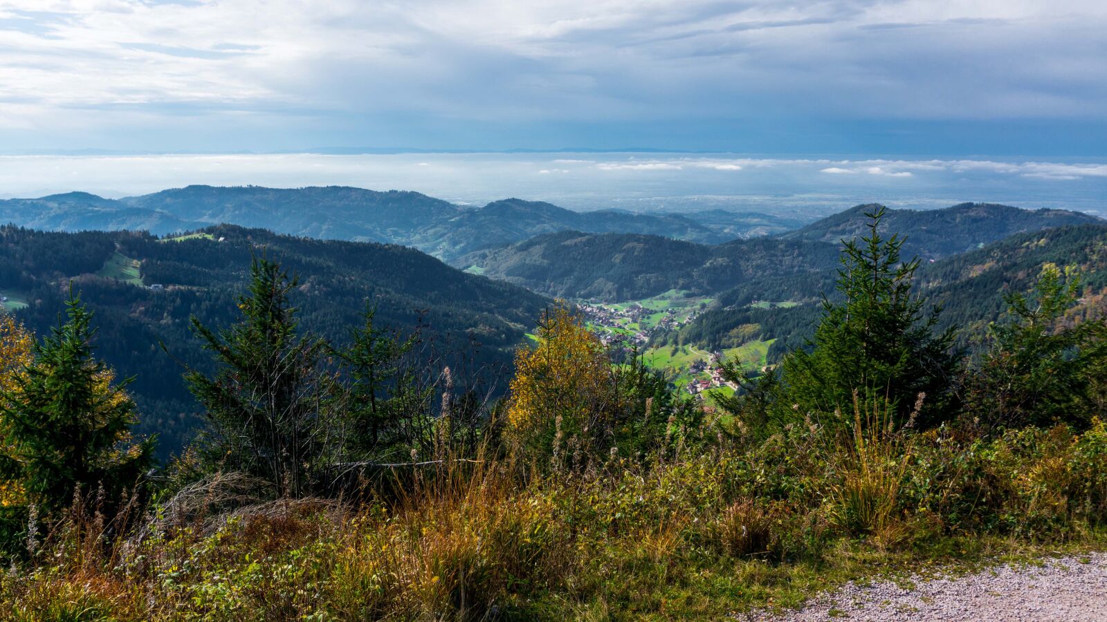 Sony Alpha NEX-6 sample photo. Seebach, black forest, northern photography
