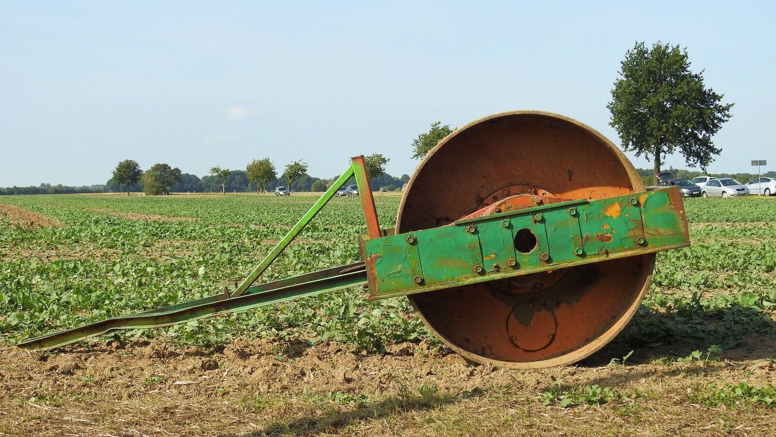 Nikon Coolpix P900 sample photo. Roll, agriculture, agricultural economics photography