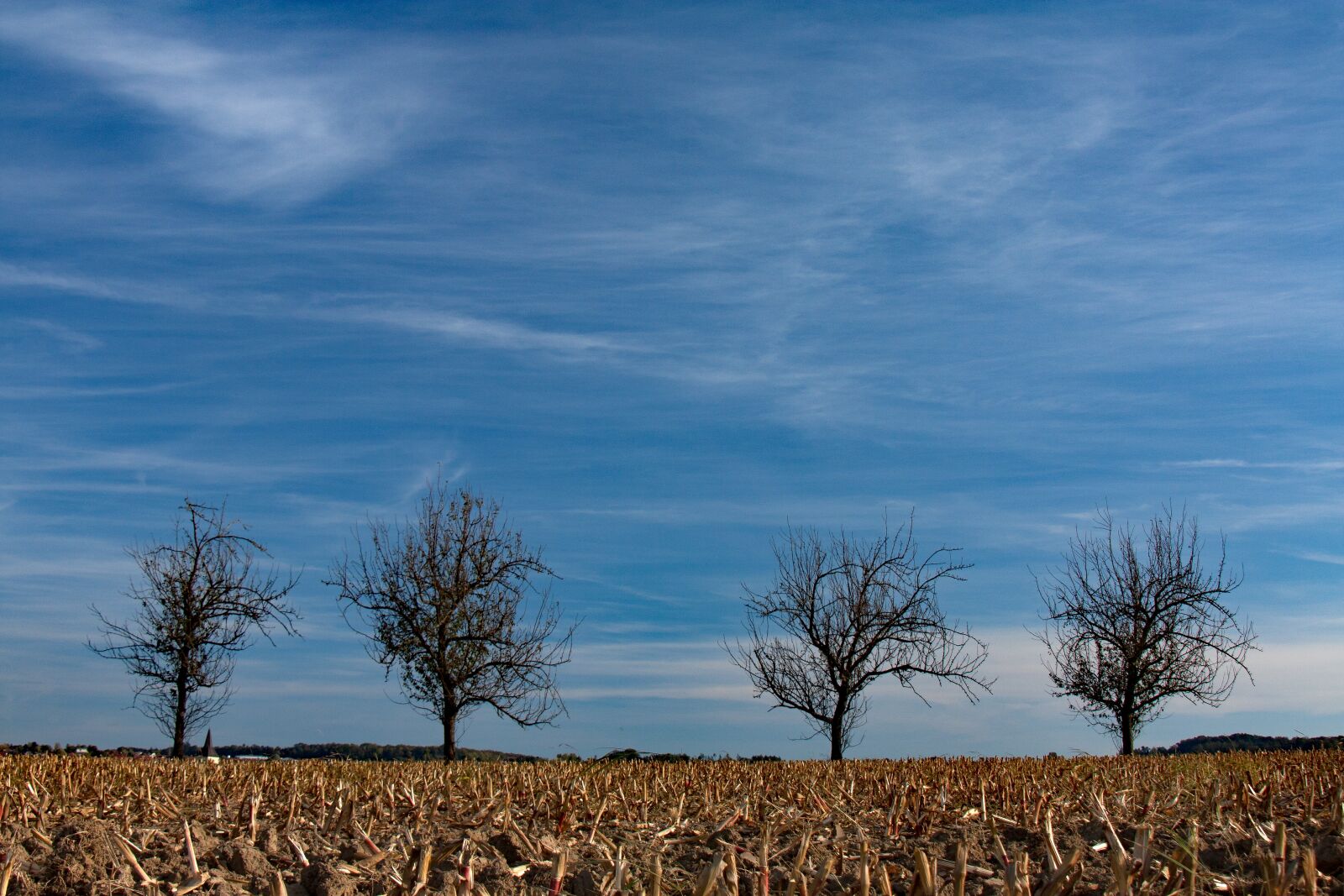 Canon EOS 450D (EOS Rebel XSi / EOS Kiss X2) sample photo. Field, sky, landscape photography