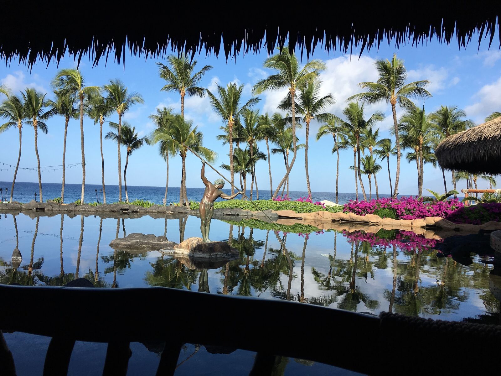 iPhone 6s back camera 4.15mm f/2.2 sample photo. Hawaii, summer, paradise photography