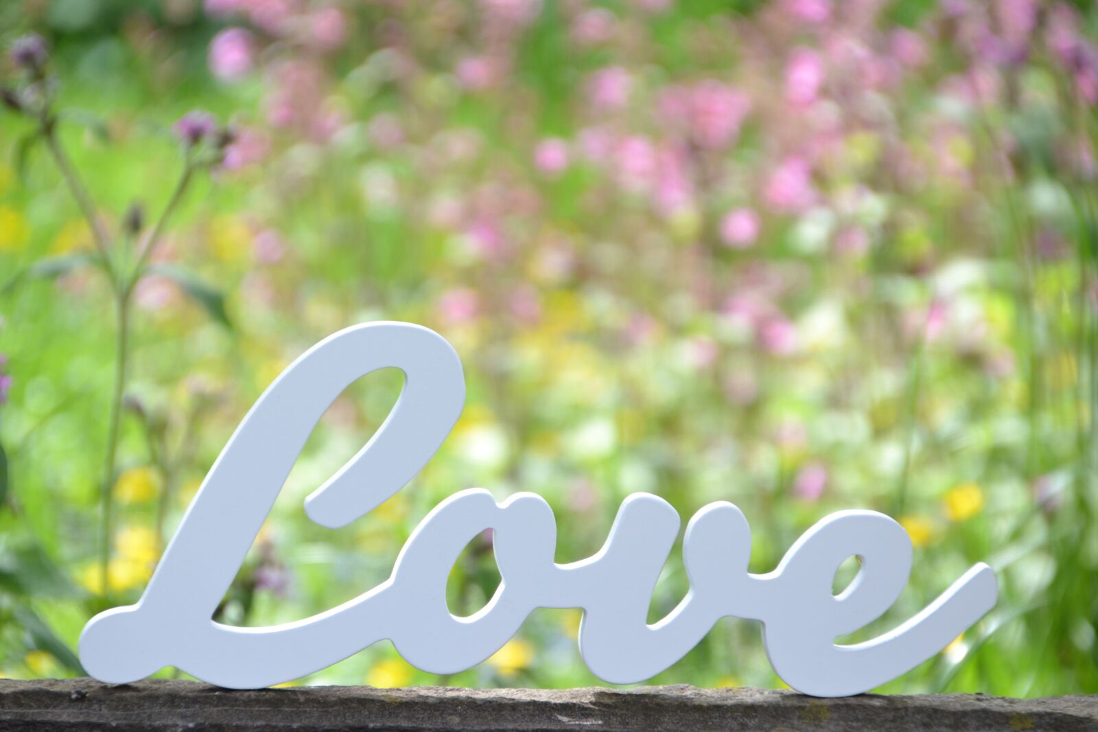 Nikon D3100 sample photo. Love, mother's day, valentine's photography
