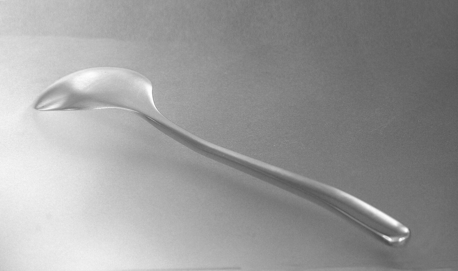Nikon D5500 sample photo. Tableware, fork, spoon photography