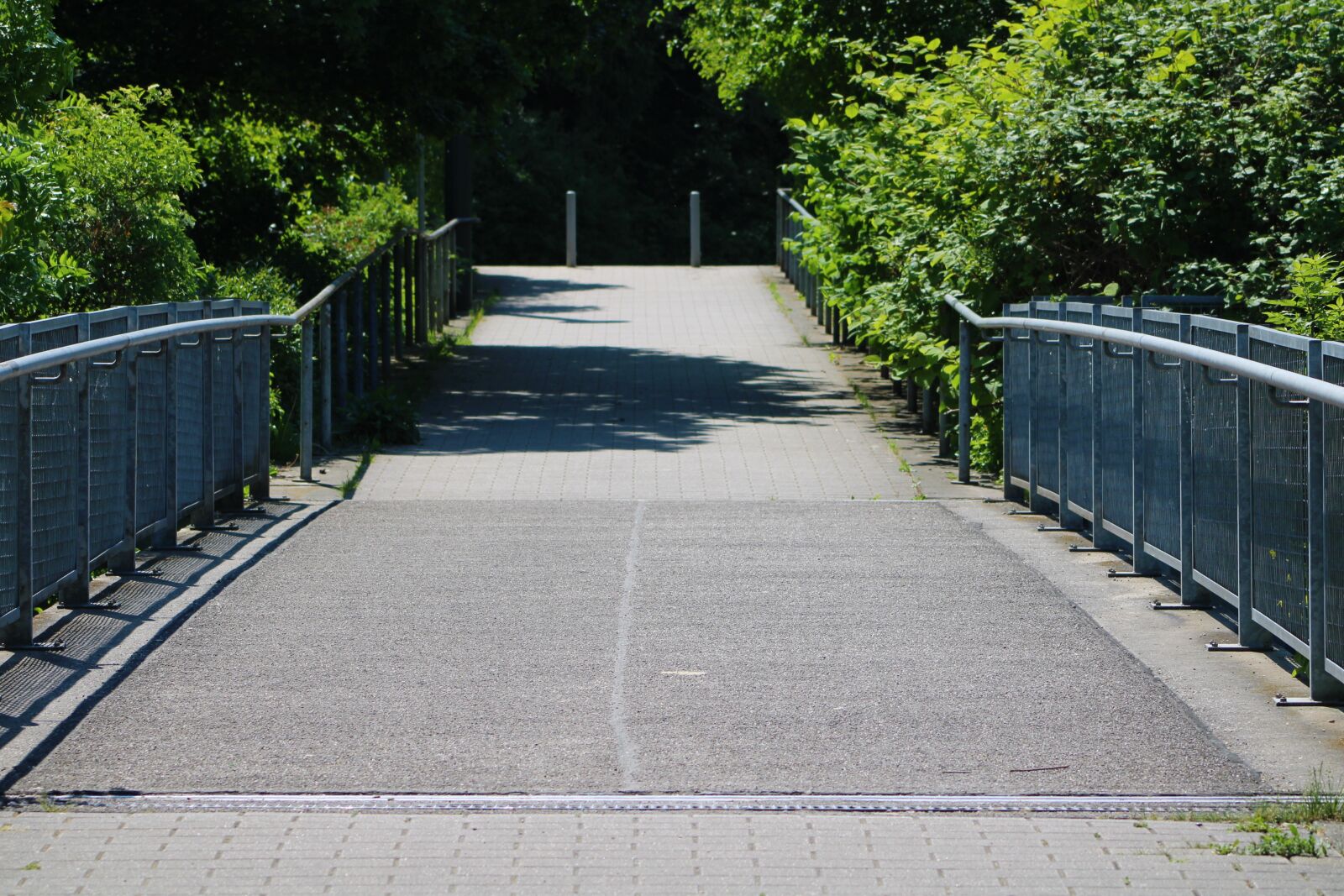 Canon EF75-300mm f/4-5.6 sample photo. Away, bridge, forest photography