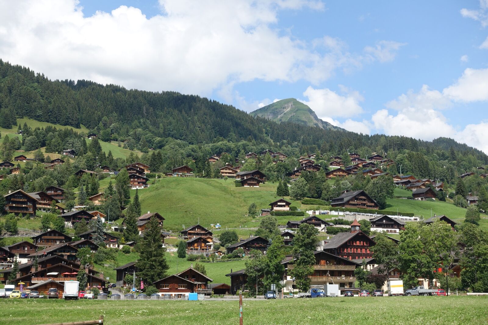 Sony Cyber-shot DSC-RX100 III sample photo. Village, switzerland, nature photography