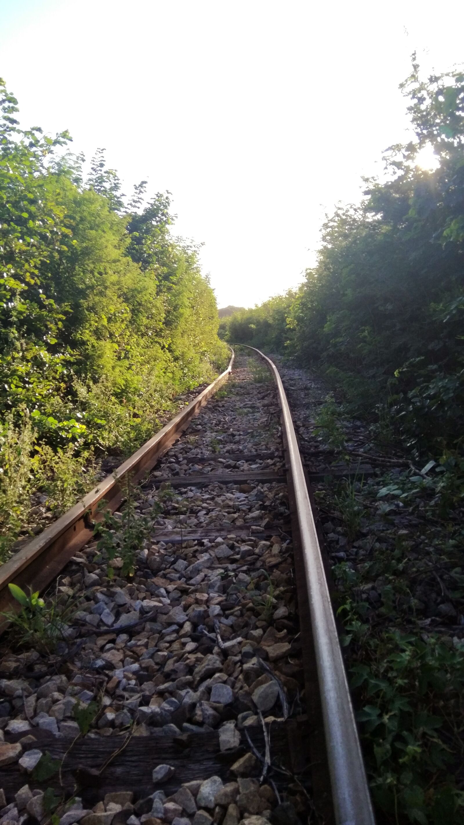 Xiaomi MIX sample photo. Railway, railroad, train photography