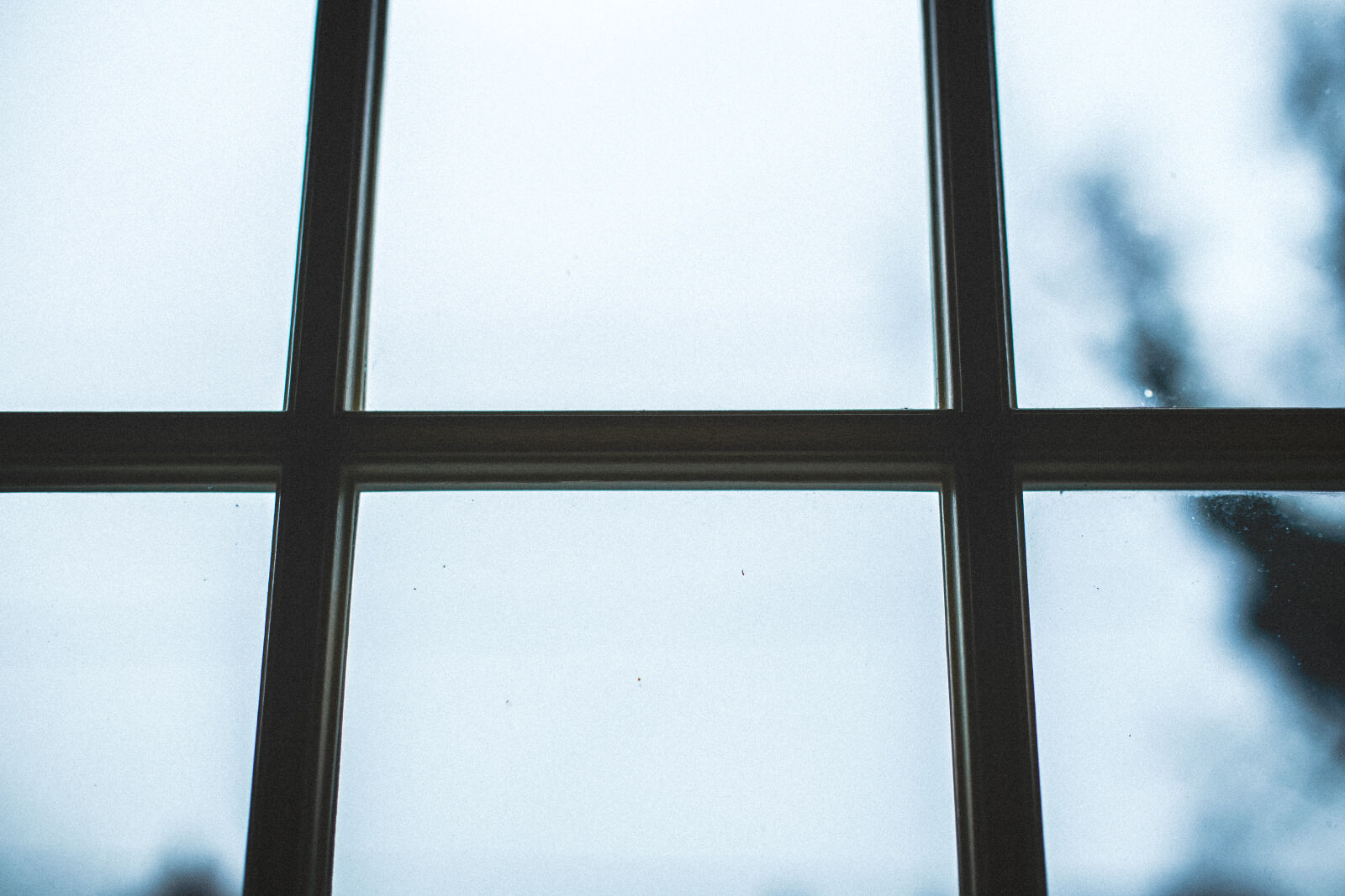 Canon EOS 6D + Canon EF 50mm F1.4 USM sample photo