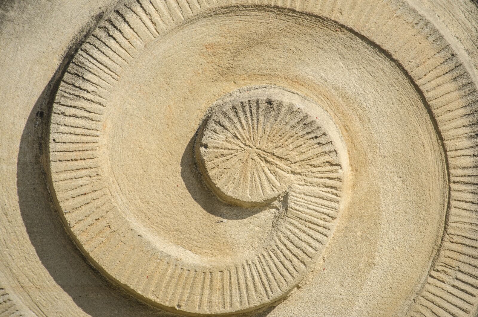 Nikon D5100 sample photo. Spiral, texture, structure photography