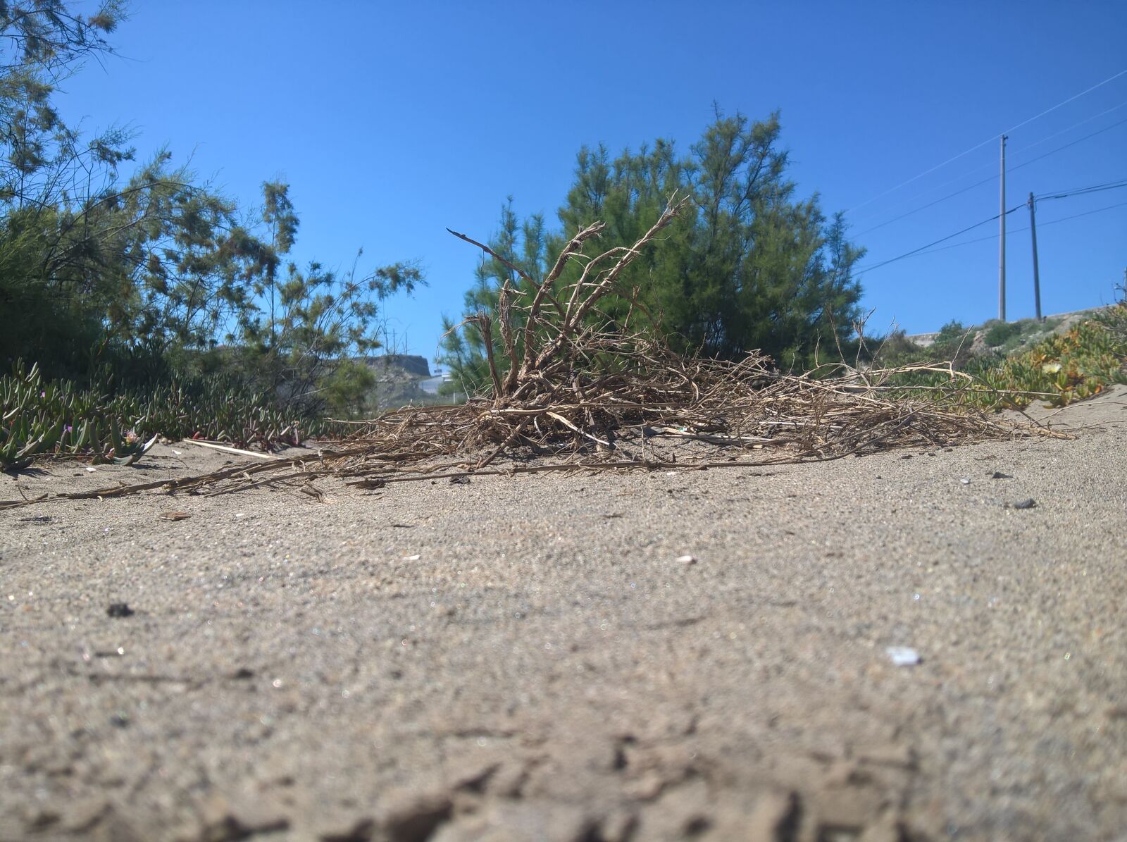 Microsoft Lumia 640 XL sample photo. Floor, land photography