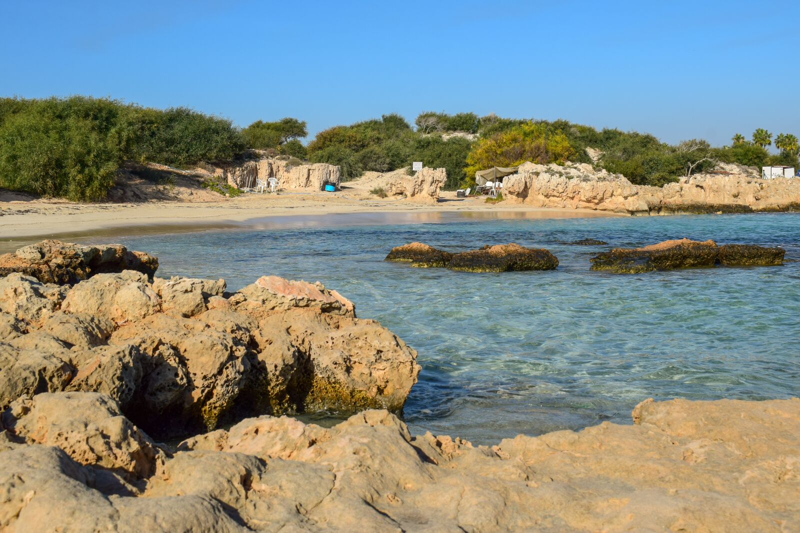 Nikon D3300 sample photo. Beach, trees, sea photography