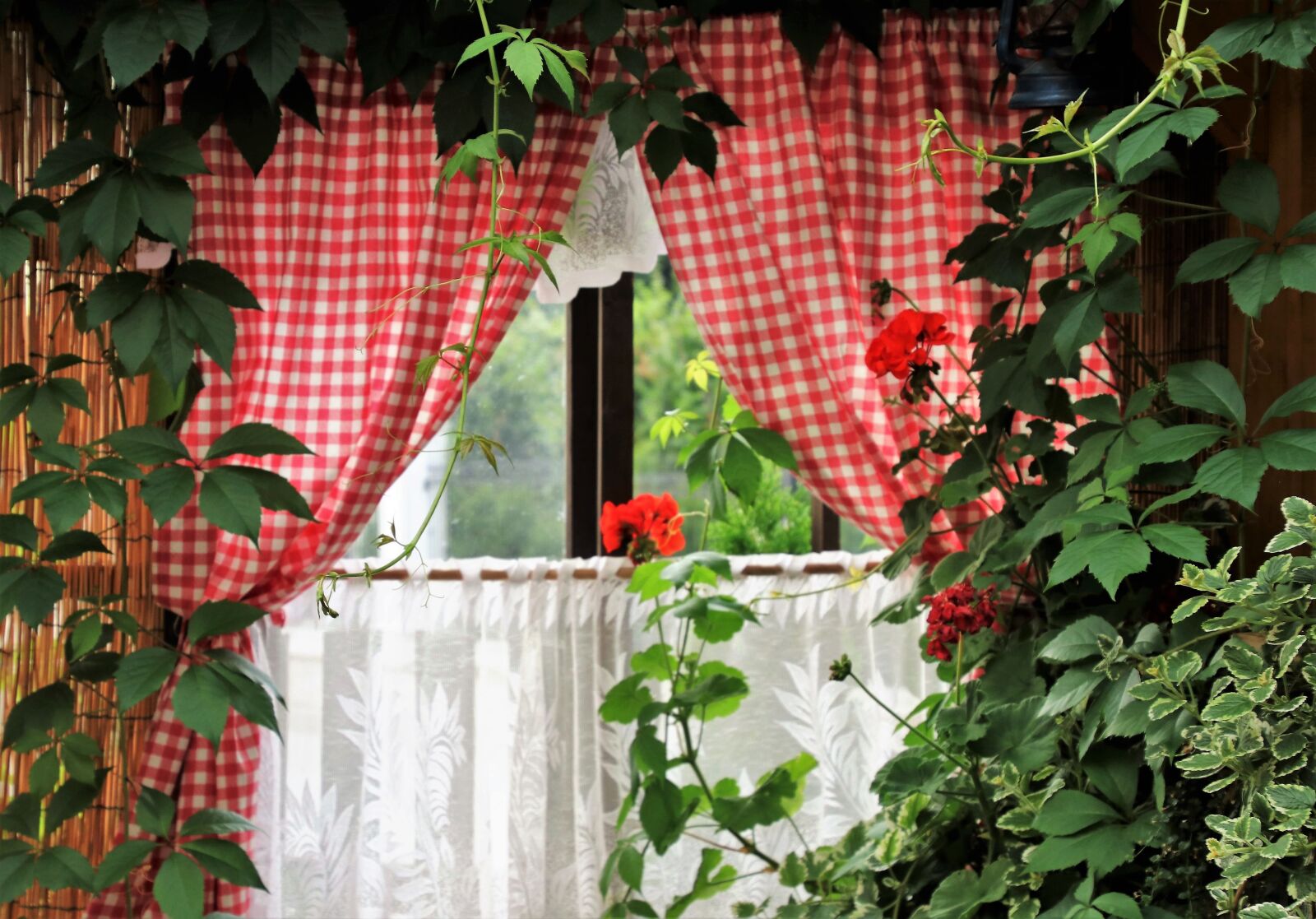 Canon EOS 80D sample photo. Window, pane, foliage photography
