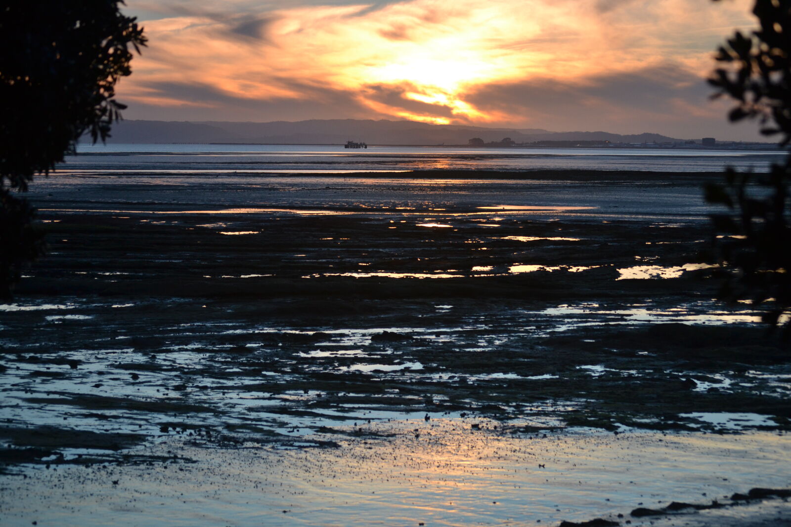 Nikon D3100 sample photo. Beach, golden, hour, manukau photography