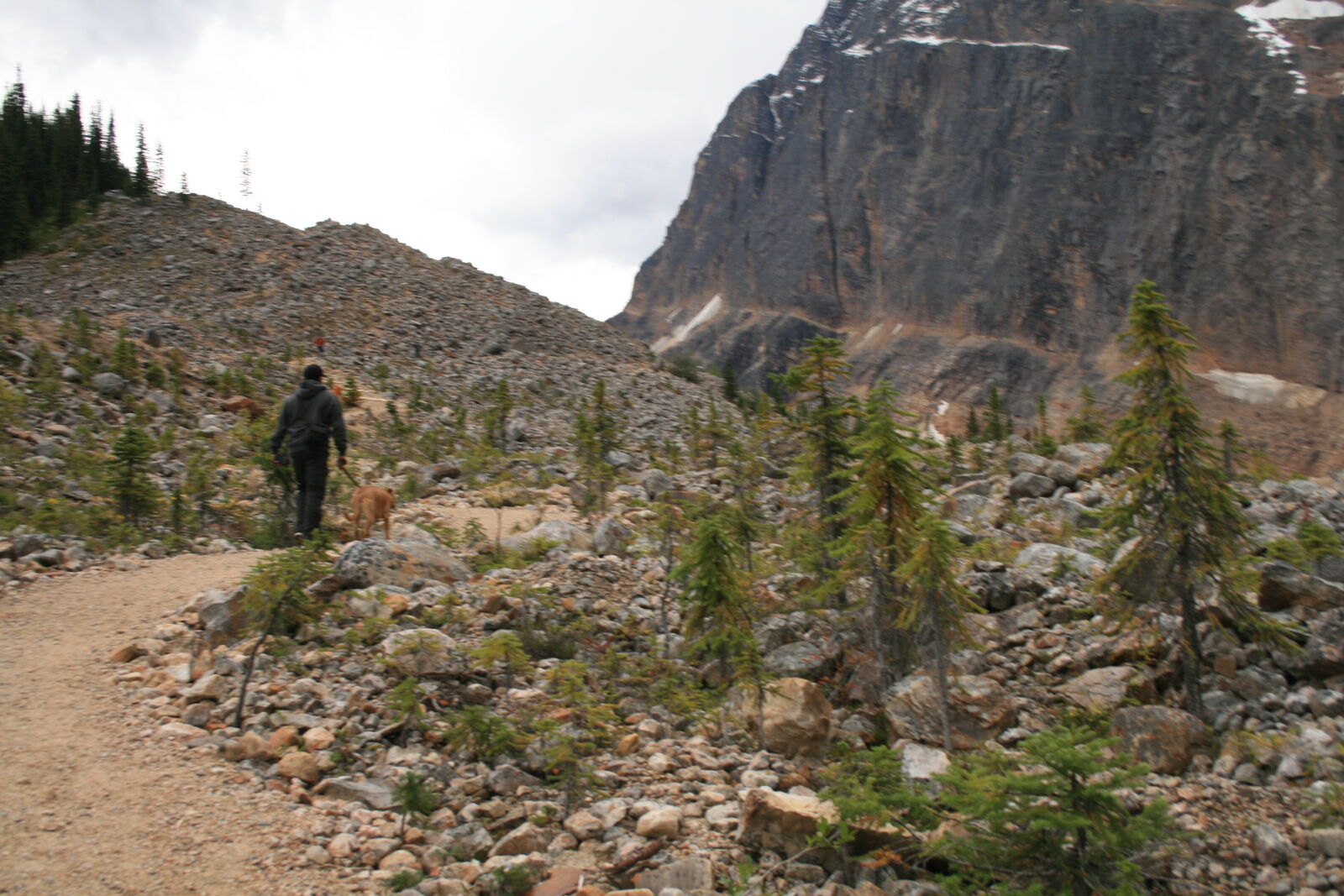 Canon EF-S 18-55mm F3.5-5.6 II sample photo. Alberta, canada, hiker, jasper photography