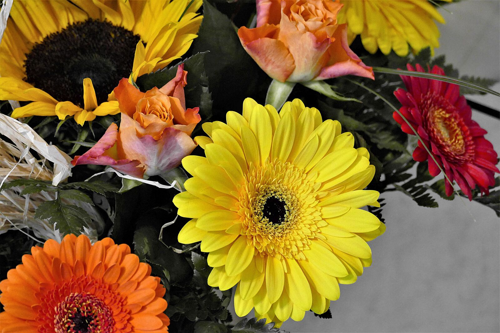 Panasonic Lumix DMC-FZ1000 sample photo. Bouquet, colorful, gerbera photography