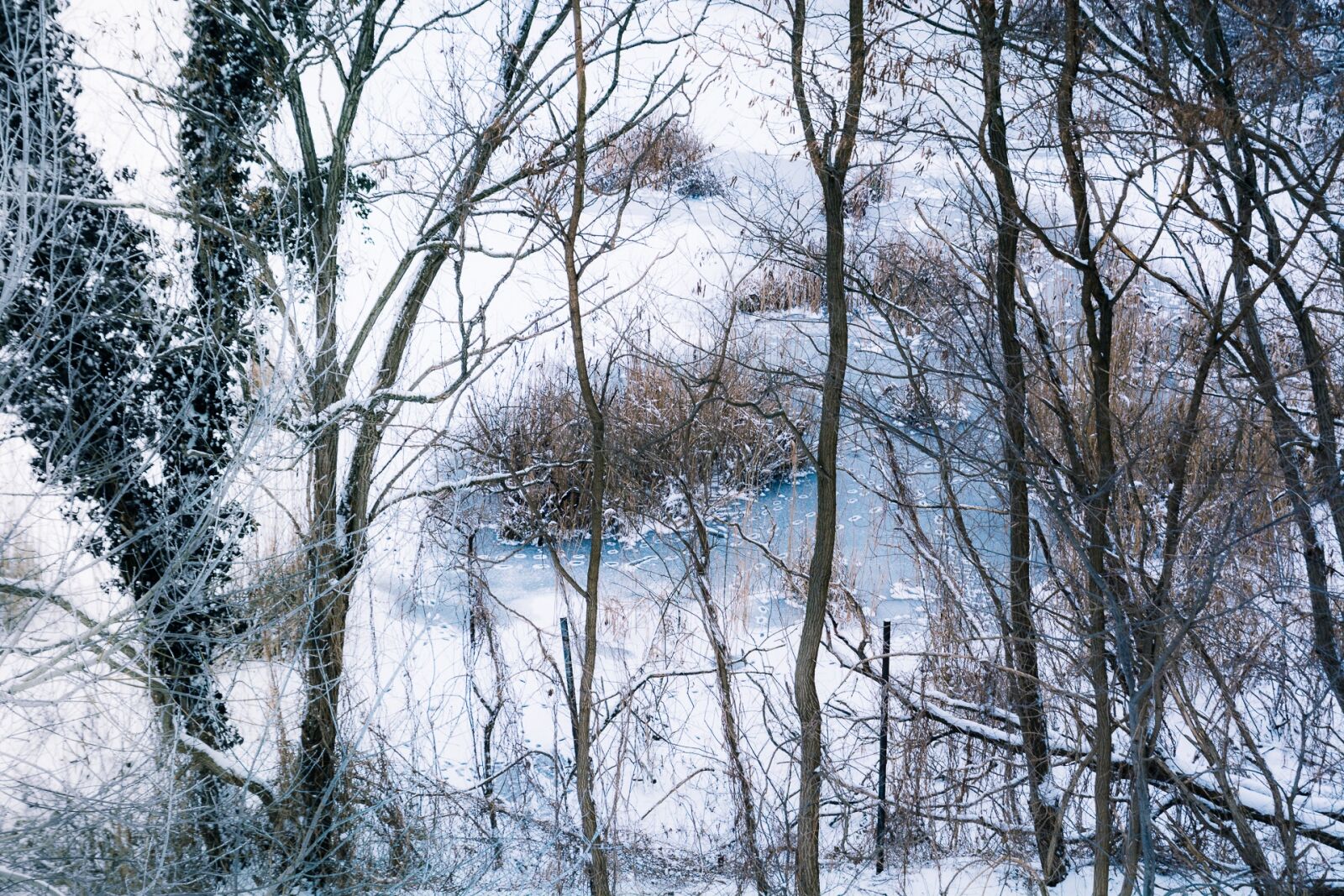 Nikon D7100 sample photo. Cold, frost, snow photography