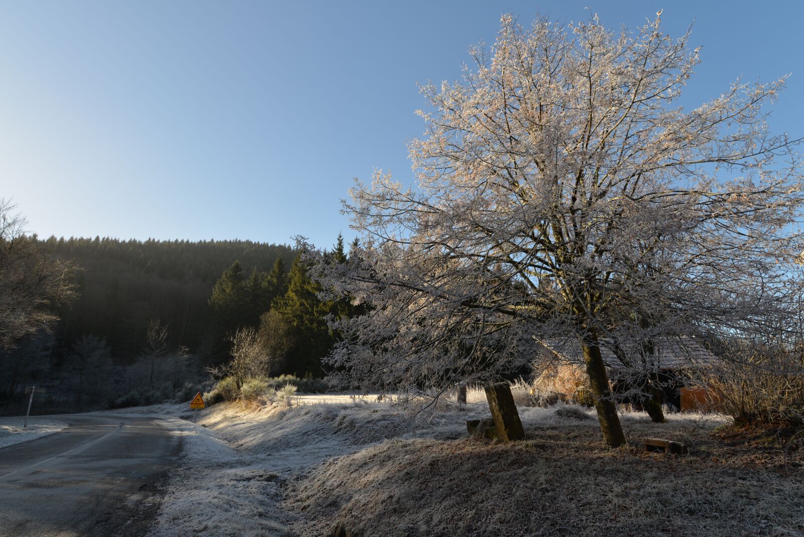 Nikon D800 sample photo. Snow cherry tree, winter photography