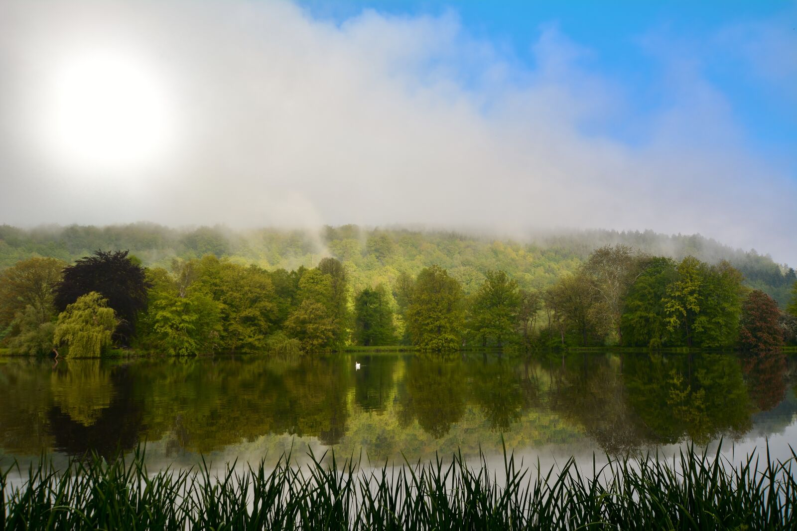 Nikon D5200 sample photo. Sunrise, lake, park photography