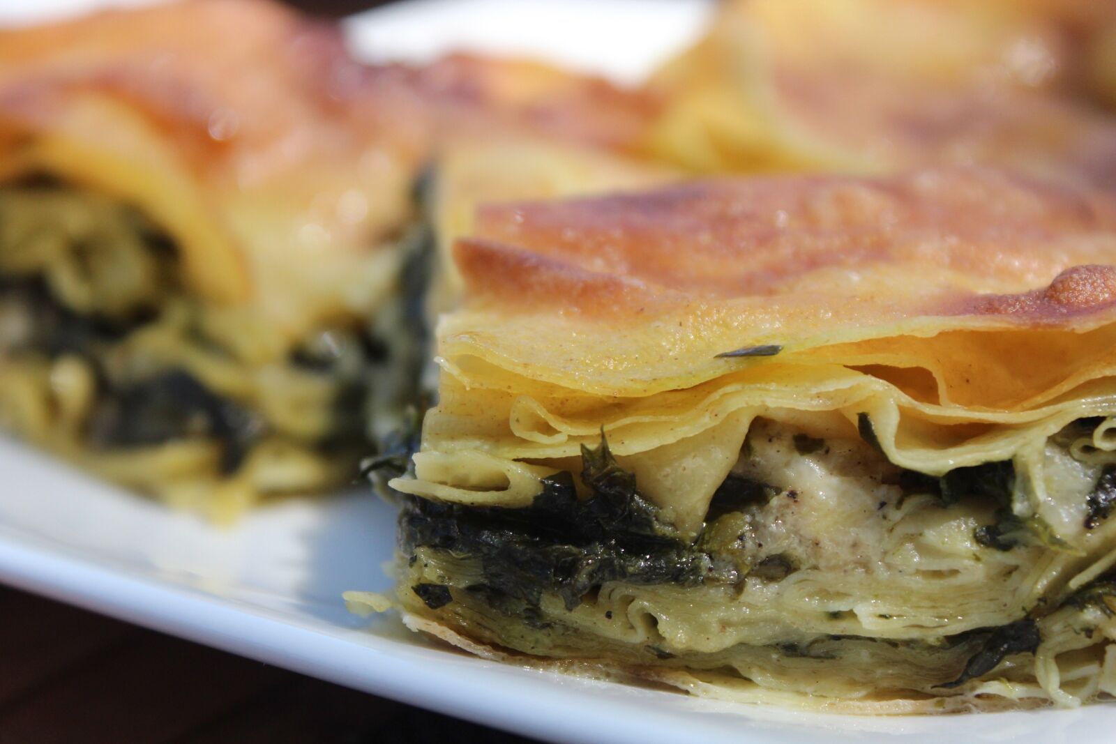 Canon EOS 600D (Rebel EOS T3i / EOS Kiss X5) sample photo. Turkish food, b rek photography