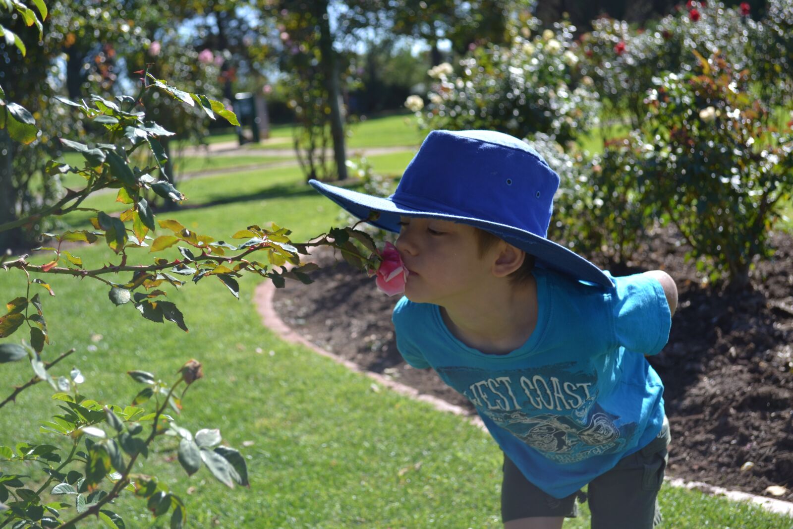 Nikon D3100 sample photo. Child, rose, family photography