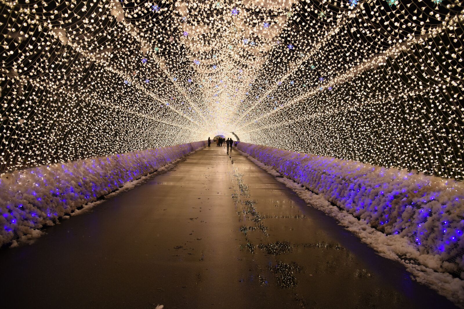 Nikon D750 sample photo. Light, light festival, decoration photography