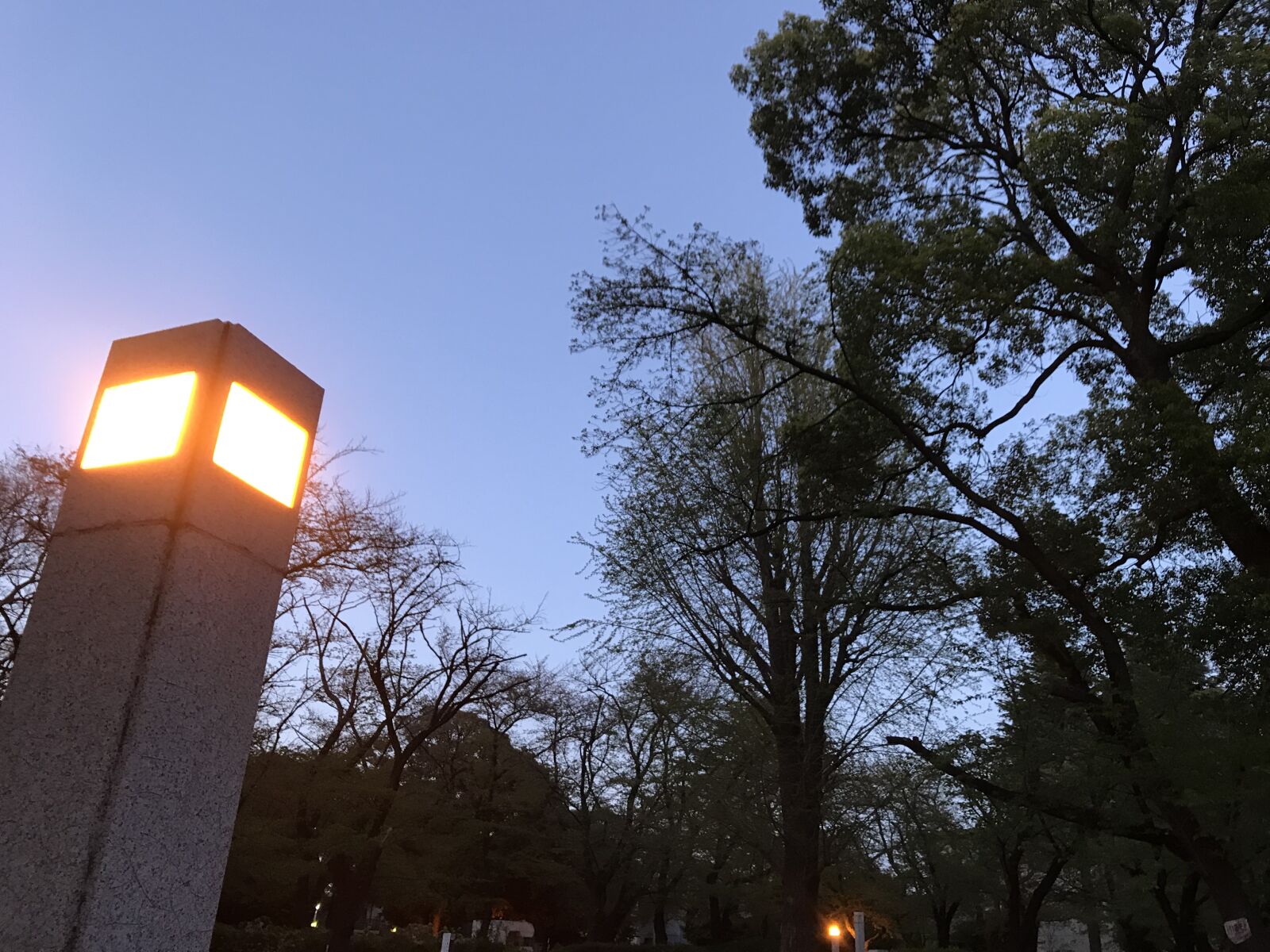 iPhone 7 back camera 3.99mm f/1.8 sample photo. Evening, moon shrine, stone photography