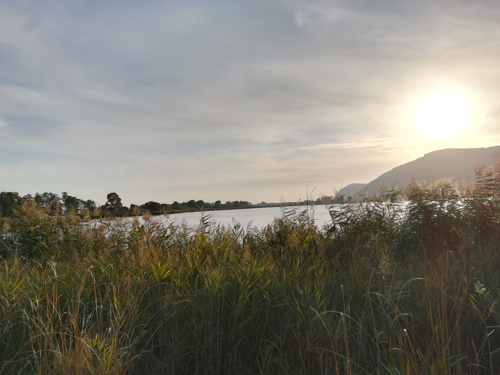 HUAWEI P10 lite sample photo. Sun, nature, lake photography