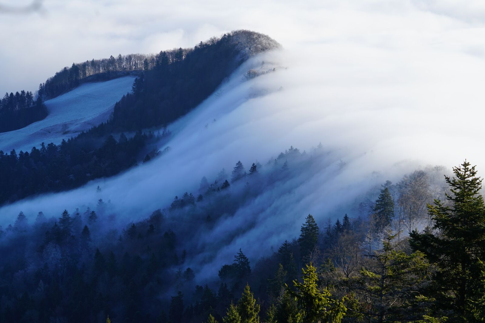 Sony FE 24-240mm F3.5-6.3 OSS sample photo. Fog, nebellandschaft, wave of photography
