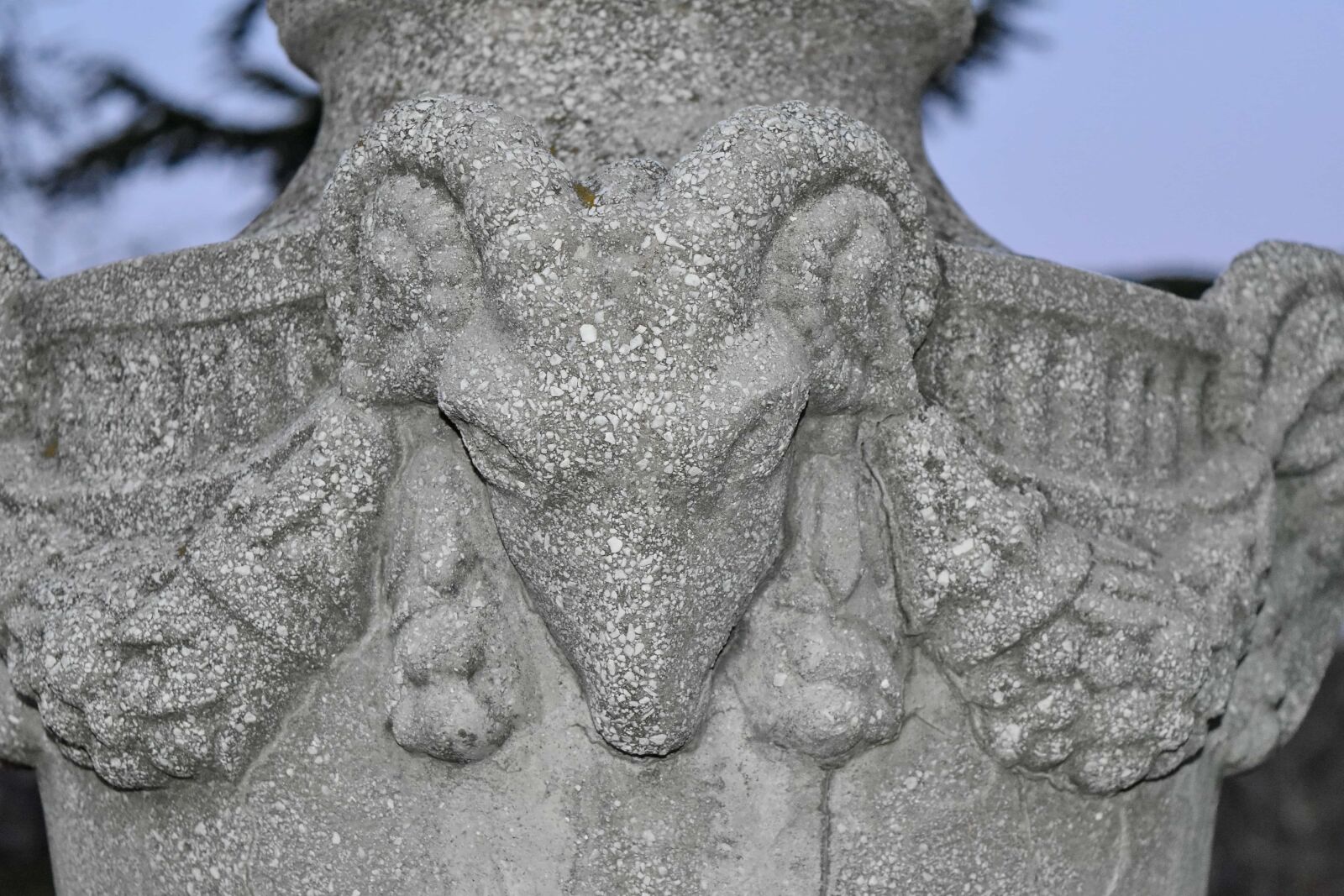 Nikon D5500 sample photo. Art, goat, medieval, ornament photography