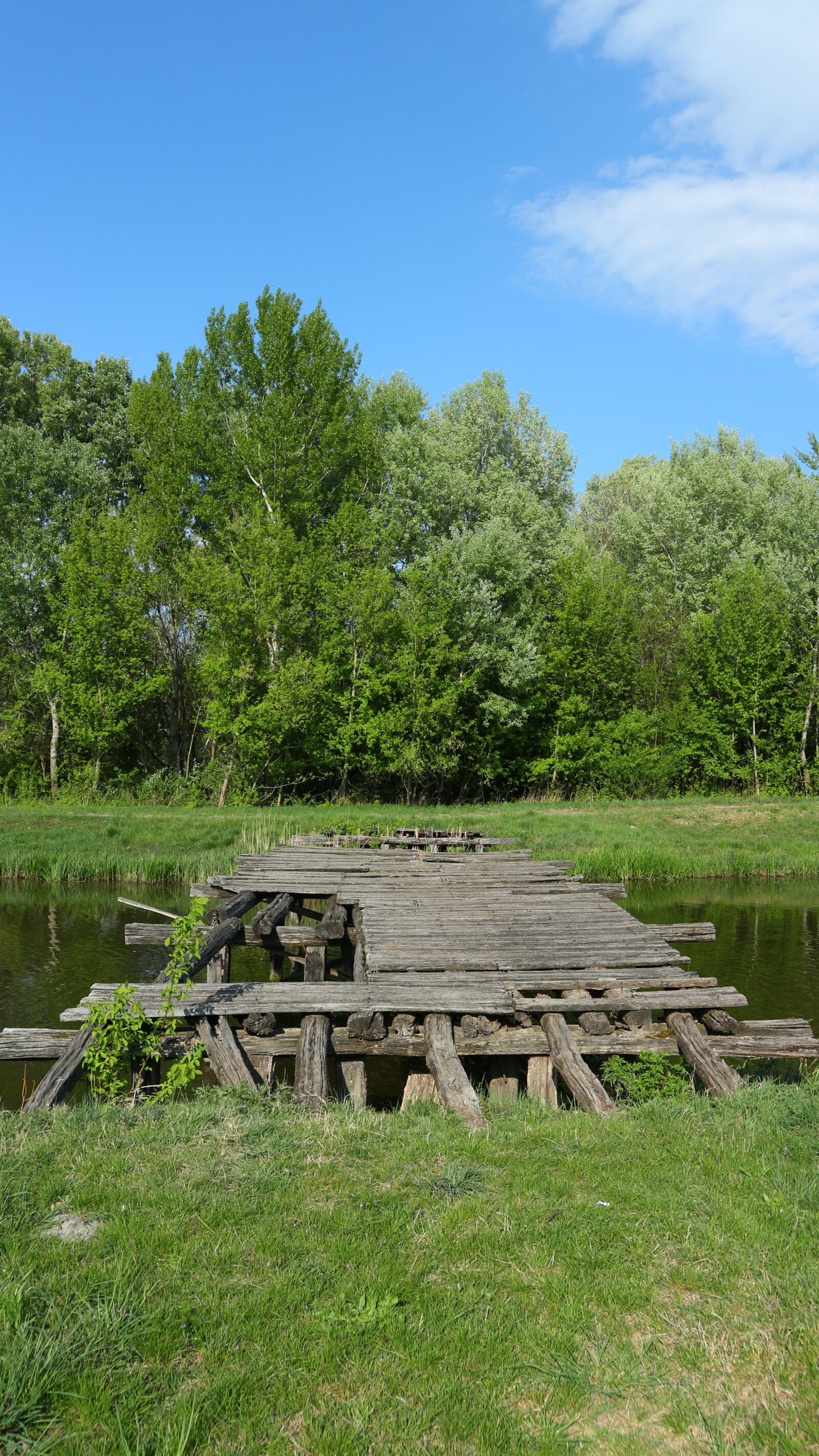 Canon EOS M10 sample photo. Bridge, rom, ruins of photography