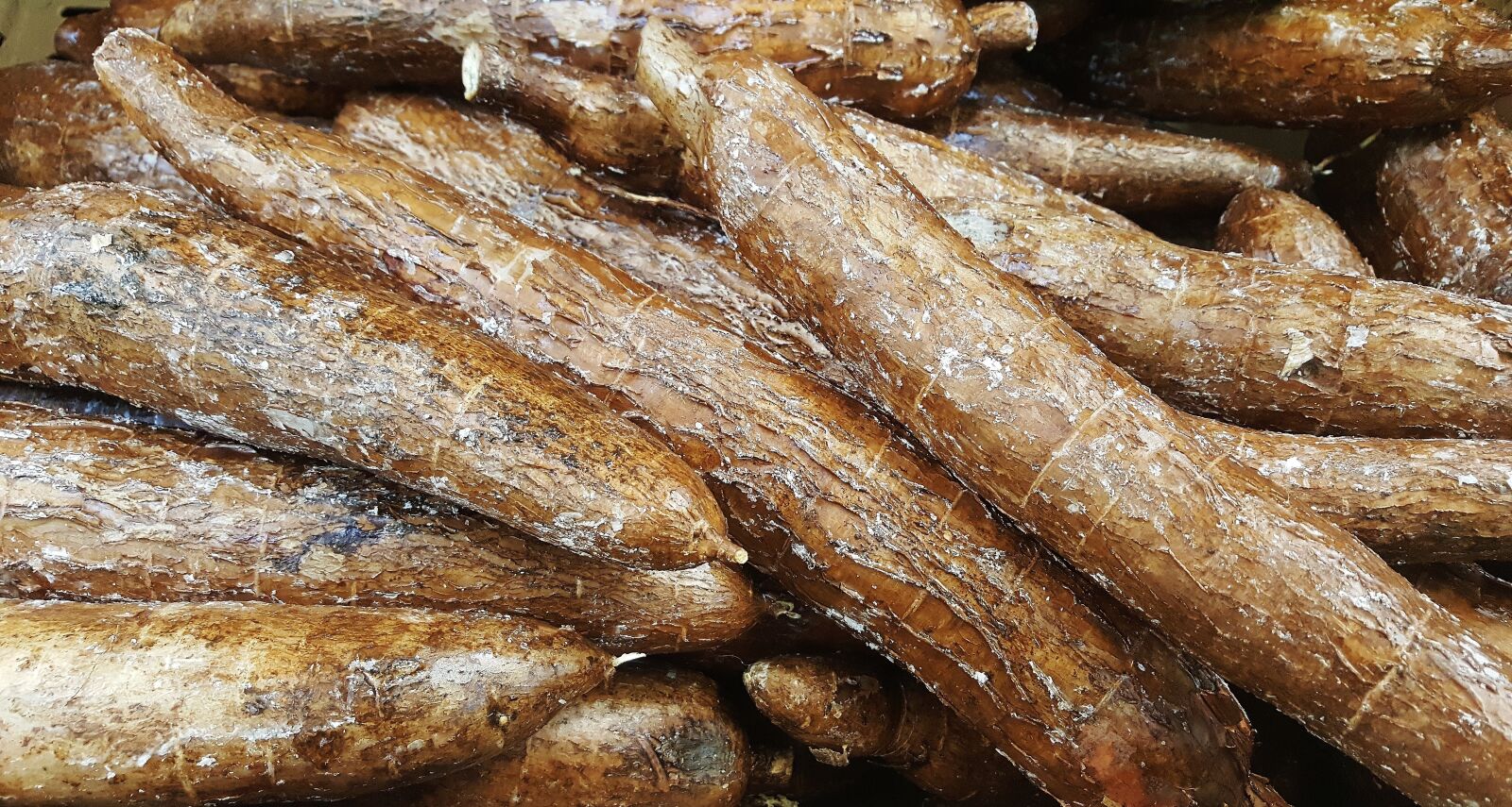 Samsung Galaxy Note5 sample photo. Yuca, cassava, vegetable photography