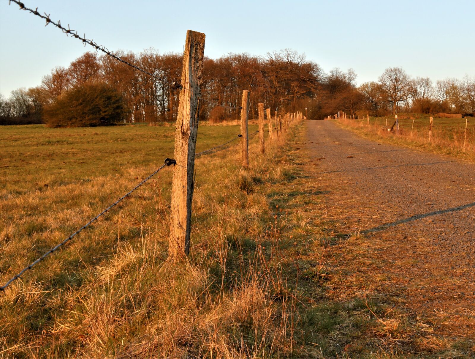 Canon EF 35mm F2 IS USM sample photo. Pasture fence, post, demarcation photography