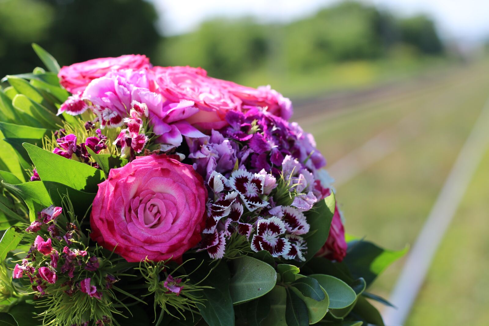 Canon EOS 600D (Rebel EOS T3i / EOS Kiss X5) + Canon EF 50mm F1.8 II sample photo. Stop child suicide, floral photography