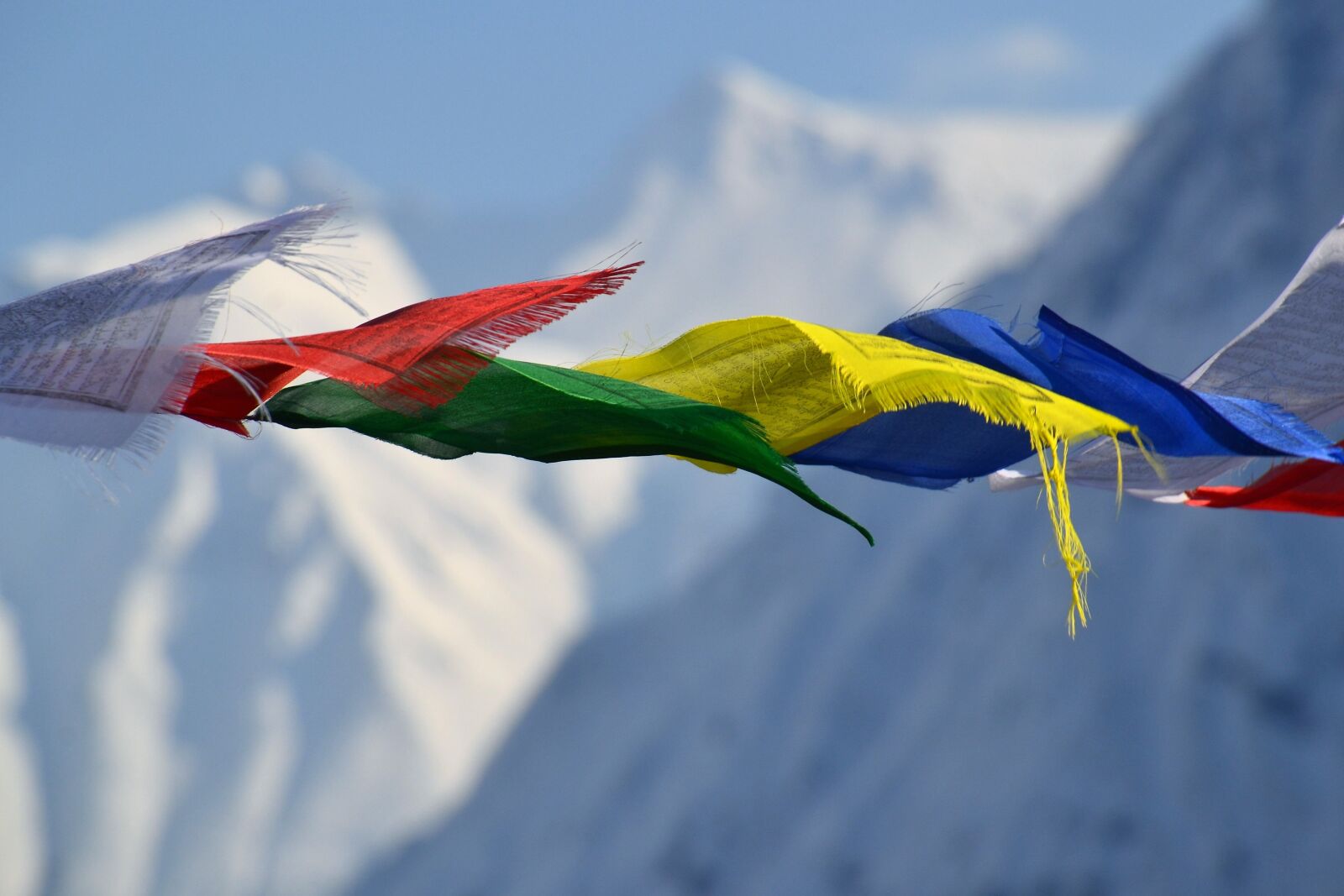 Nikon D3100 sample photo. Tibetan prayer flags, flags photography
