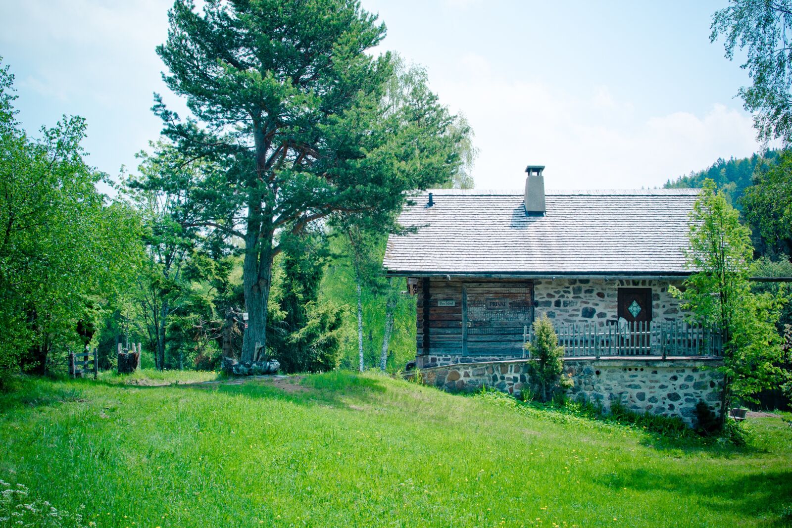Nikon D7100 sample photo. Pera schupf, scale, almschuppen photography