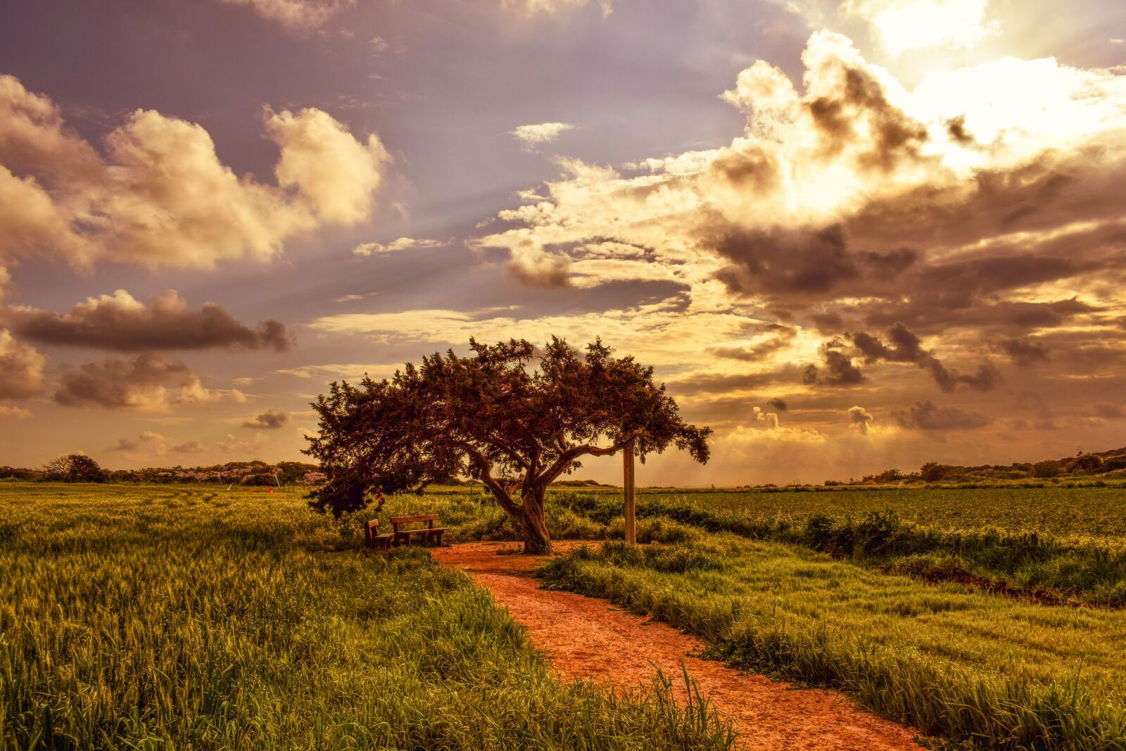 Nikon D3300 sample photo. Nature, landscape, sky photography