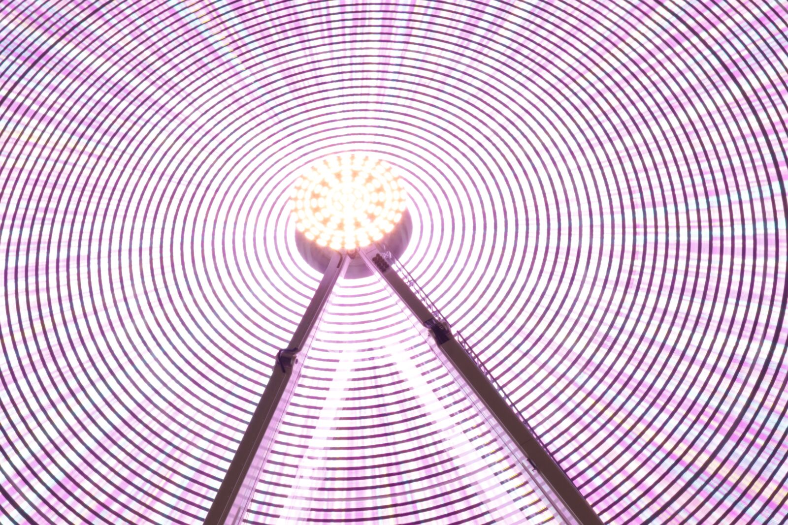 Canon EOS 80D sample photo. Ferris, wheel, night photography