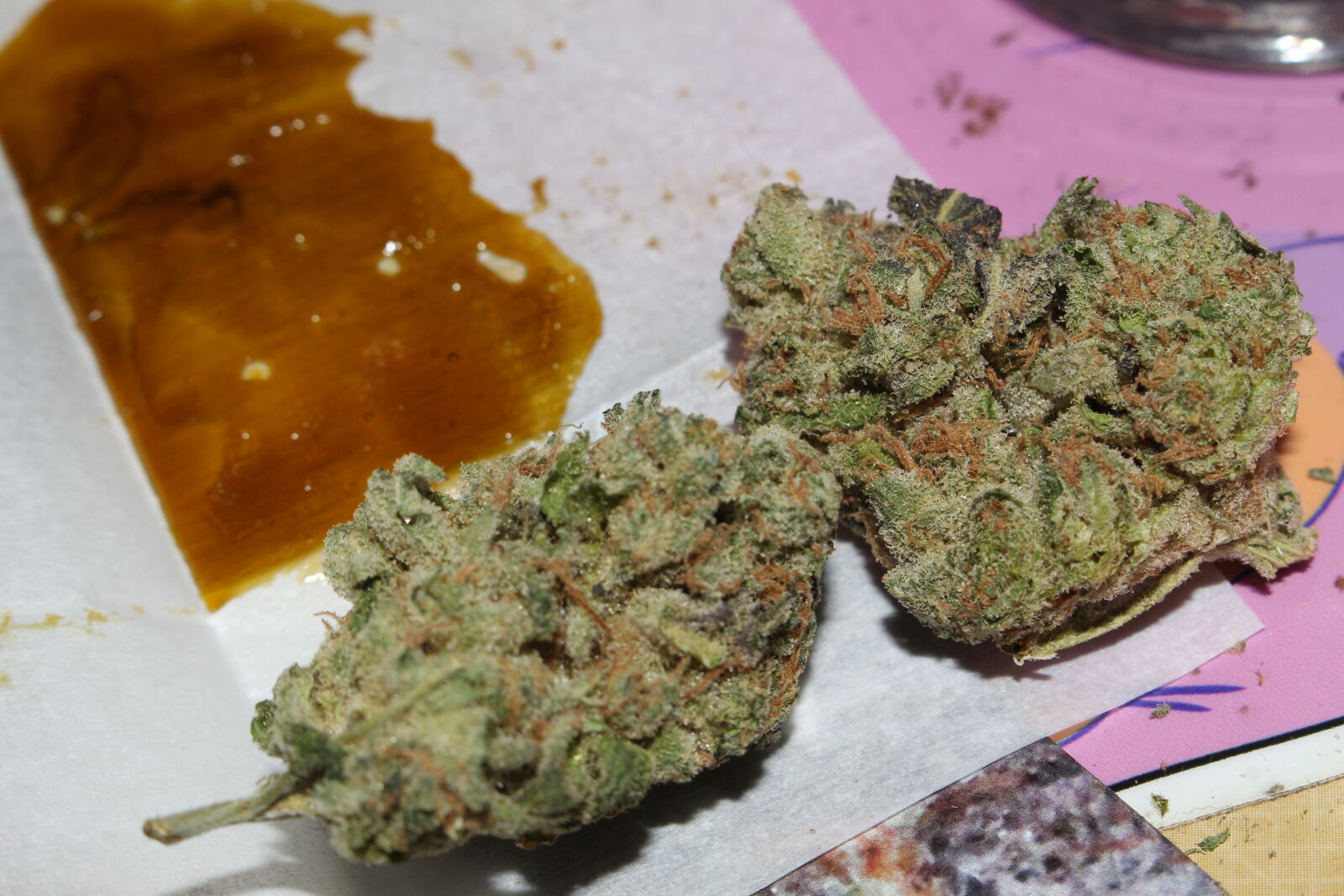 Canon EOS 700D (EOS Rebel T5i / EOS Kiss X7i) sample photo. 420, 710, bho, cannabis photography