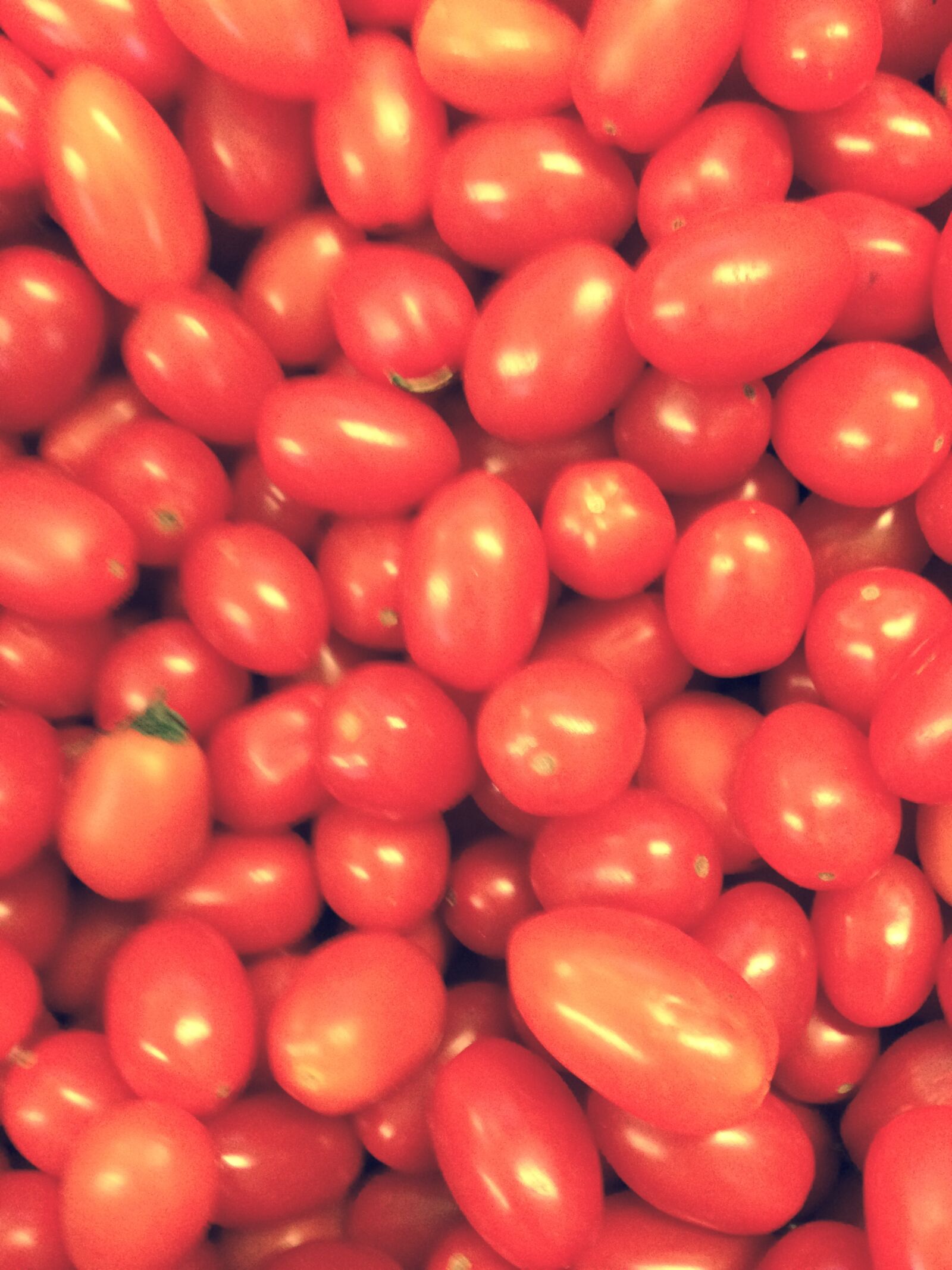 Apple iPhone 5c sample photo. Tomato, fruit photography