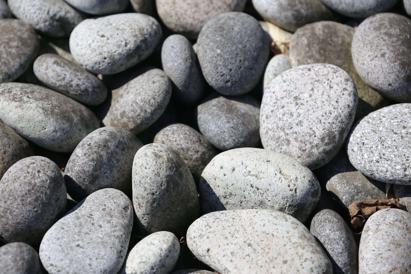 Canon EOS 6D + Canon EF 70-300mm F4-5.6L IS USM sample photo. Stones, thalaso, bed photography