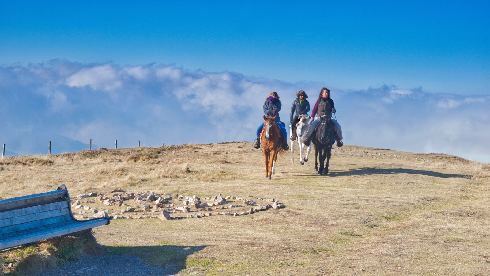 Nikon D5300 sample photo. Ride, reiter, landscape photography