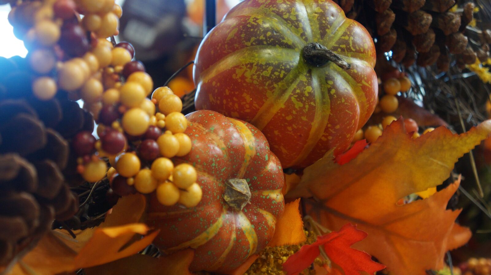 Sony Alpha a3000 sample photo. Thanksgiving background, thanksgivings, autumn photography