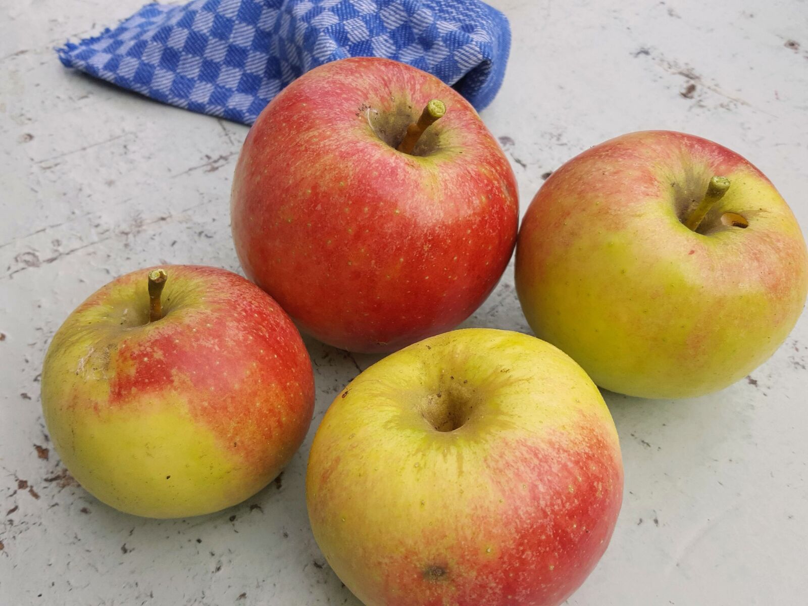 Samsung Galaxy S6 sample photo. Apple, nature, garden photography