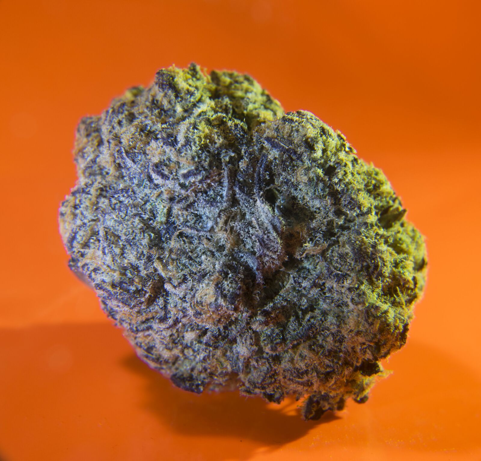 Nikon D3300 sample photo. Marijuana, medication, cannabis photography