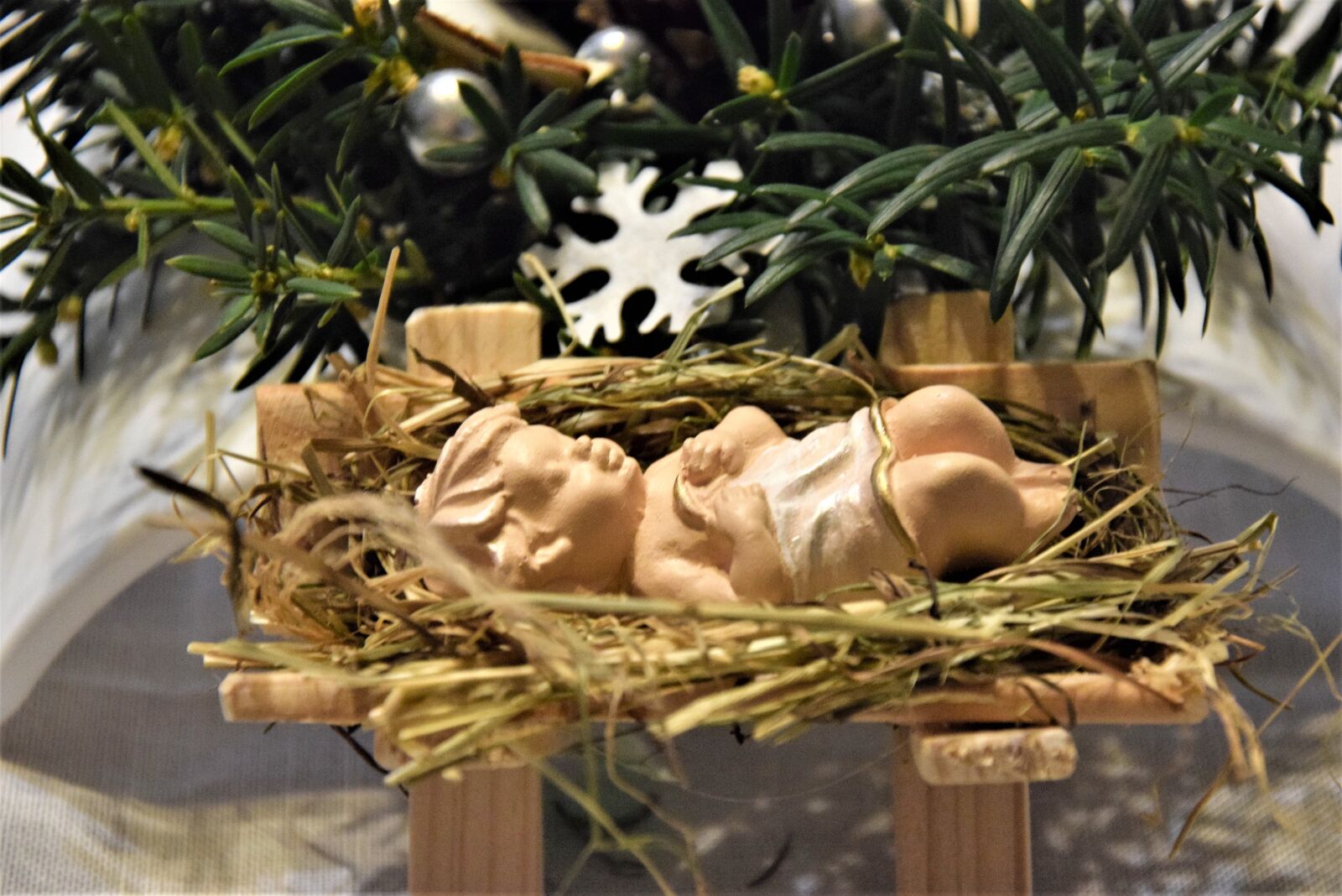 Nikon D5300 sample photo. Holidays, a nursery, ornament photography